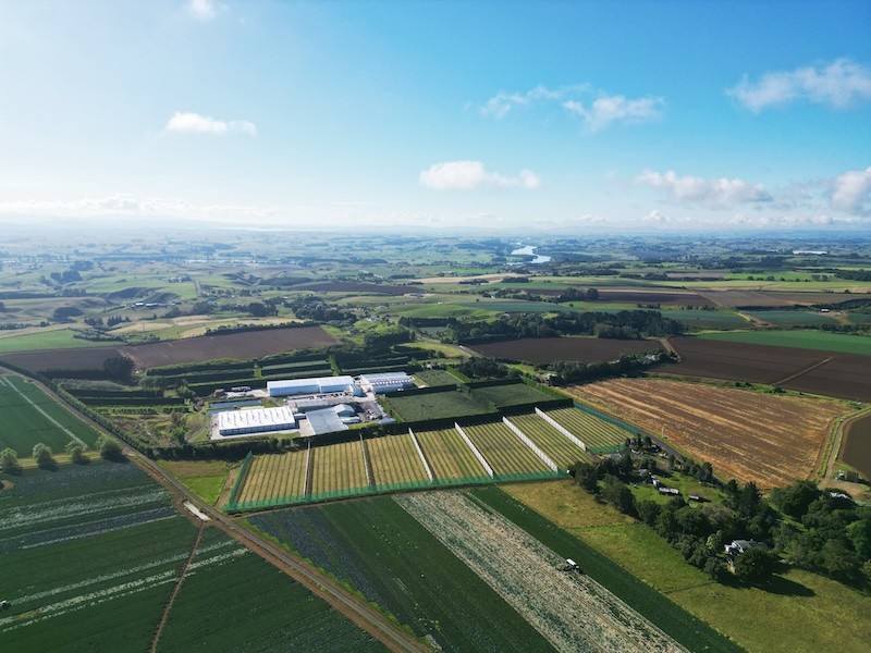 Mercer Mushrooms farm