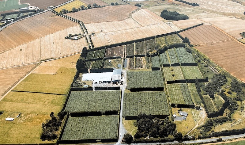 Mercer Mushrooms farm Aerial View