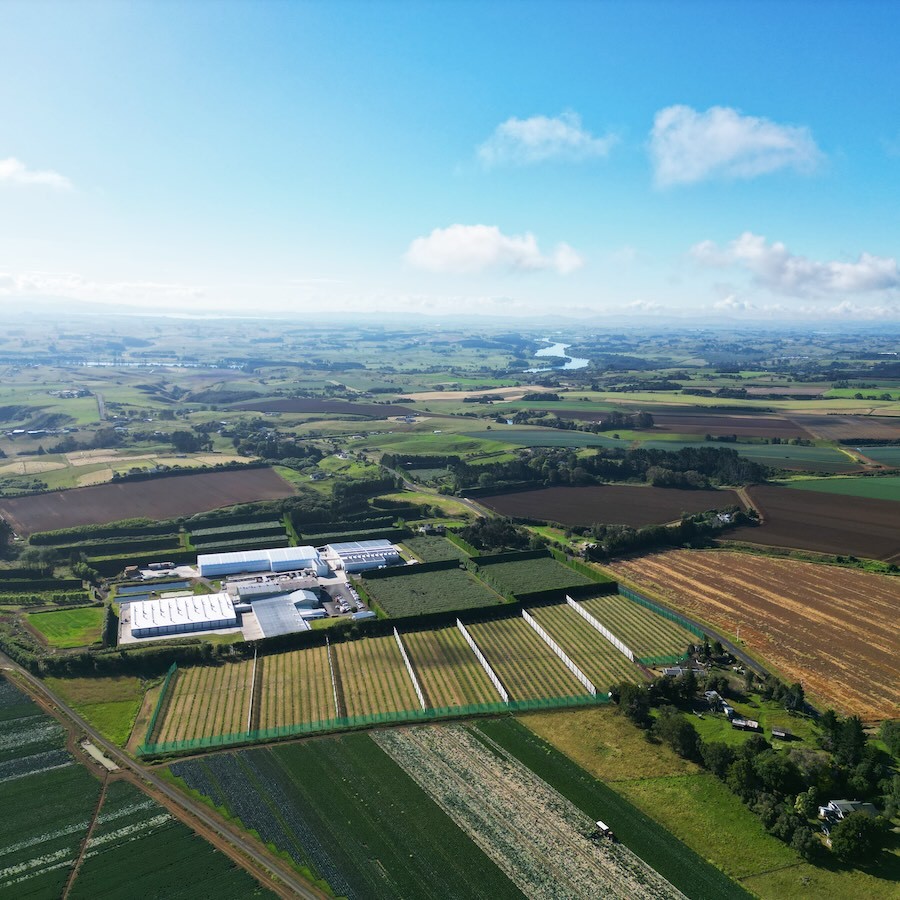 Mercer Mushrooms farm Aerial View