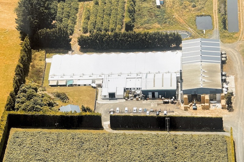 Mercer Mushrooms farm Aerial View